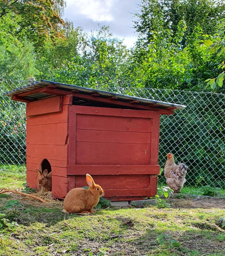 Gramersgarden Soderala Kültér fotó